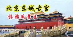 操屄黄色网站免费在线观看中国北京-东城古宫旅游风景区